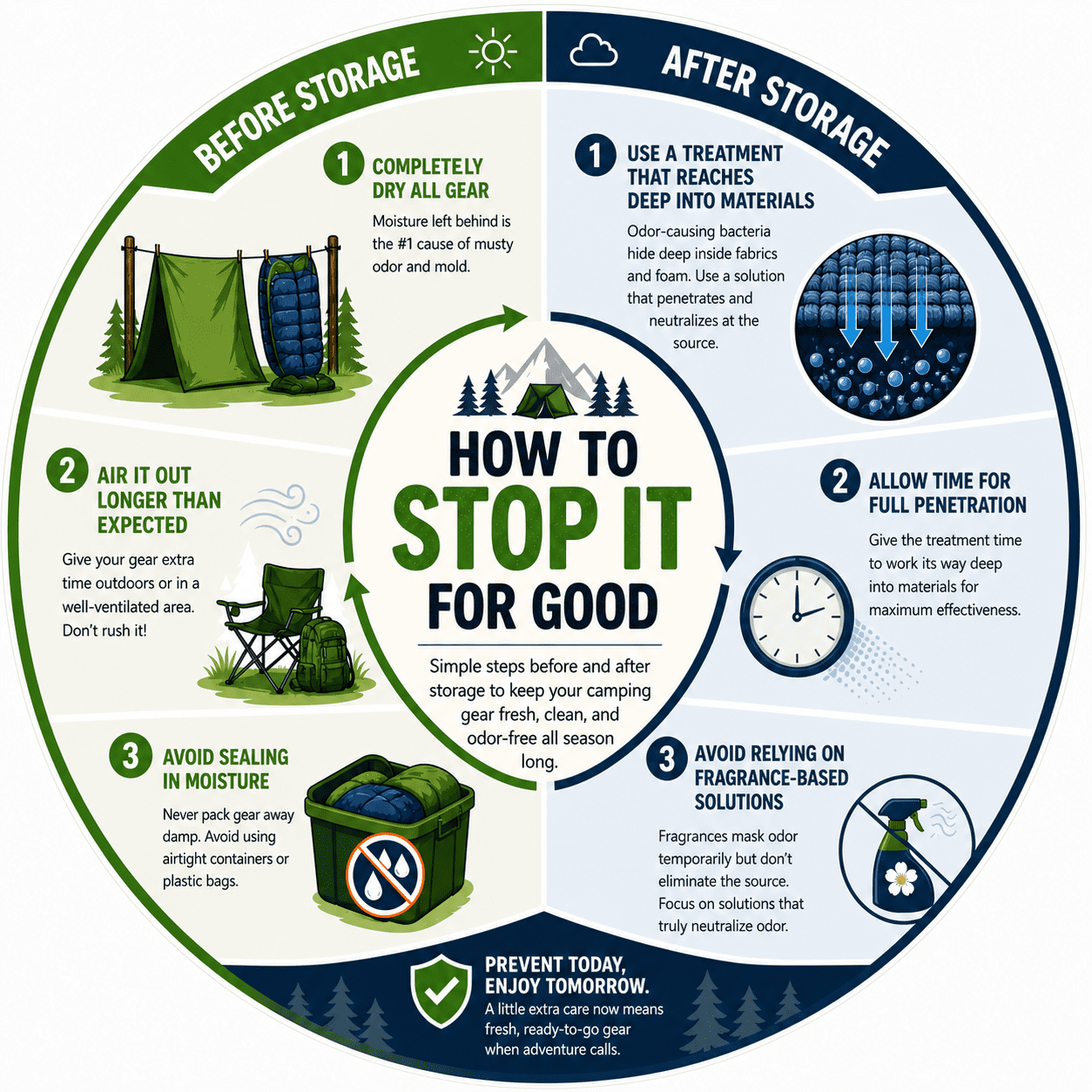 infograph showing the best way to prevent mold when storing